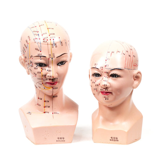 Female Head Set (2 Pieces/Set)